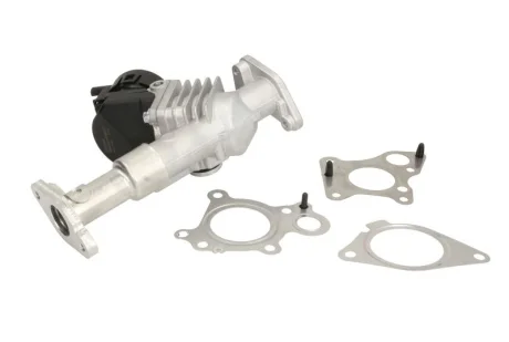 Клапан системи рециркуляції ВГ Delphi EG1048812B1