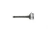 Котушка запалювання Renault Laguna III/Nissan Qashqai 1.6-2.0 07- Delphi GN10317-12B1 (фото 5)