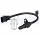 Датчик положення колінвалу Hyundai i30/i40/ix35/Kia Rio/Soul 1.4/1.6 11- Delphi SS11331 (фото 1)
