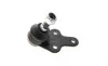 Опора шаровая (передняя/снизу) Ford C-Max 07-10/Focus 04-12/Volvo C30/C70/S40/V50 04-13 Delphi TC1971 (фото 4)