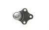 Опора кульова (передня/знизу) Citroen Berlingo/Peugeot Partner 1.8i/1.9D 96-08 Delphi TC420 (фото 2)