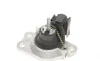 Подушка двигателя (R) Renault Kangoo 1.5dCi 01- Delphi TEM008 (фото 4)