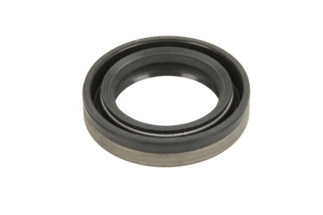 Элемент насоса Common Rail DENSO 2941970010