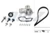 DOLZ FORD К-т ГРМ (ремень+ ролик +помпа) B-MAX, C-MAX II, FIESTA V, MAZDA, VOLVO KD070