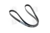 Ремінь поліклін. (вир-во DONGIL) Dongil 5PK1300 (фото 1)