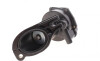 Насос вакуумный Ford Connect 1.8TDCi 02- DP Group BS 9310.1 MGN (фото 4)