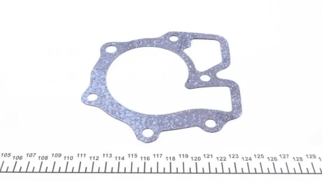 Прокладка помпы воды Ford Transit 2.5 TDI 86-00 DP Group CS 15513