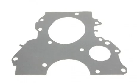 Прокладка натяжника ланцюга ГРМ Ford Connect 1.8 TDCi 02-13 DP Group ES 81012 ARI