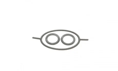 Прокладка насосу вакуумного Ford Connect 1.8 TDCi 02- DP Group ES 82454