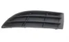 Вставка бампера (без противотуманки) Skoda Fabia/Roomster 06-15 (L) DPA 88071192002 (фото 1)