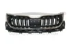 Решітка радіатора (хром) з отвором під камеру Skoda Kodiaq (17-) DPA 88531819202 (фото 1)