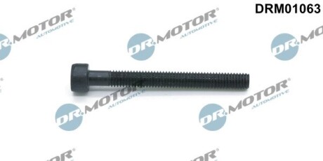 Болт с головкой системы TORX из черного металла DR.MOTOR DRM01063