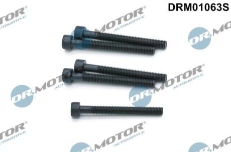 Комплект болтов с головкой системы TORX из черного металла DR.MOTOR DRM01063S