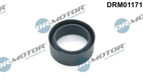 Кольцо резиновое DR.MOTOR DRM01171