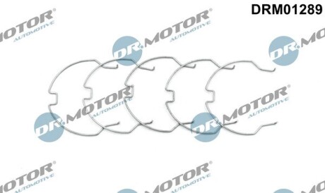 Комплект хомутов металлических. DR.MOTOR DRM01289