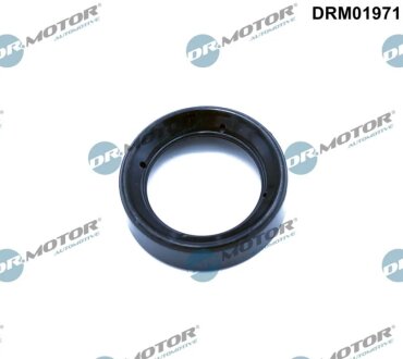 Кільце гумове DR.MOTOR DRM01971