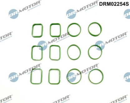 Комплект прокладок гумових DR.MOTOR DRM02254S