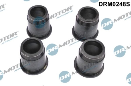 Кільце гумове DR.MOTOR DRM0248S