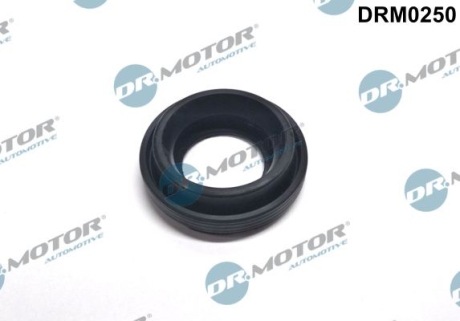 Кольцо резиновое DR.MOTOR DRM0250 (фото 1)