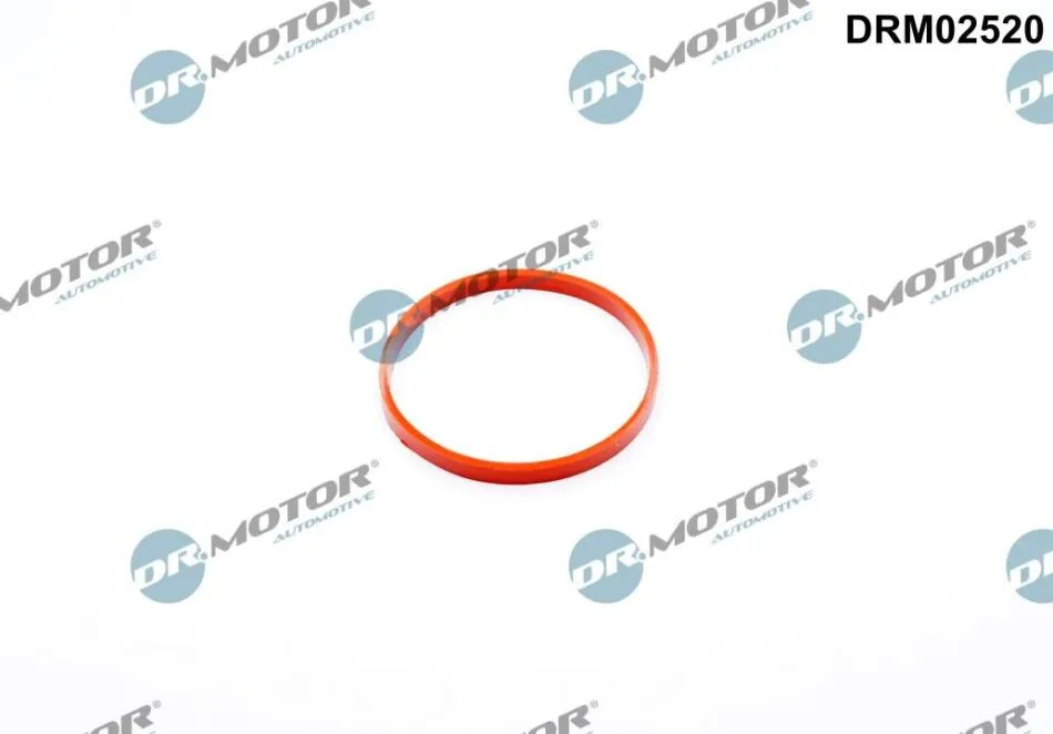Прокладка двигуна гумова DR.MOTOR DRM02520 (фото 1)