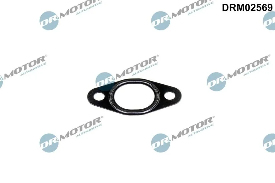 Прокладка двигуна металева DR.MOTOR DRM02569 (фото 1)
