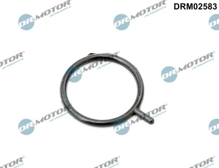 Кільце гумове DR.MOTOR DRM02583