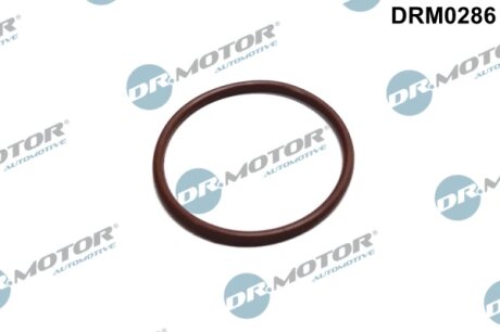 Прокладка гумова DR.MOTOR DRM0286
