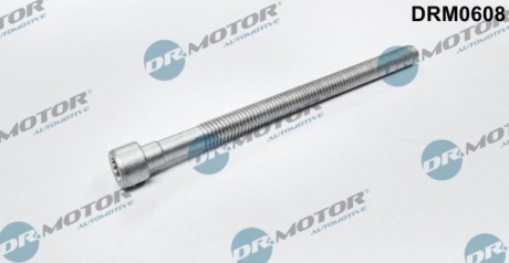 Болт з головкою системи TORX з чорного металу DR.MOTOR DRM0608 (фото 1)