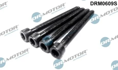 Комплект болтов с головкой системы TORX из черного металла DR.MOTOR DRM0609S