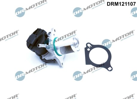 Клапан рециркуляції газів DR.MOTOR DRM121107