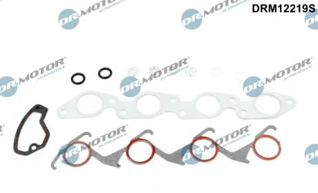 Комплект прокладок з різних матеріалів DR.MOTOR DRM12219S