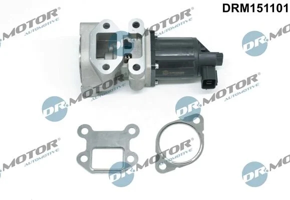 Клапан рециркуляции газов DR.MOTOR DRM151101 (фото 1)