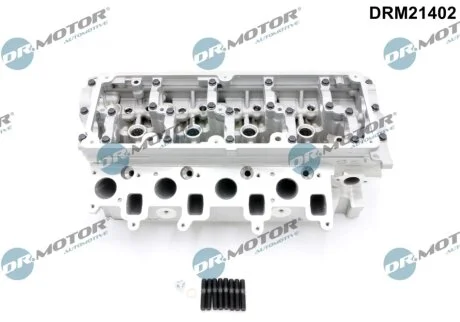 Головка блока DR.MOTOR DRM21402