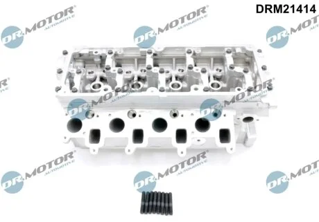 Головка блока DR.MOTOR DRM21414