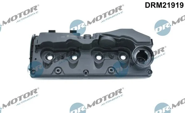 Кришка головки блоку циліндрів ДВЗ DR.MOTOR DRM21919 (фото 1)