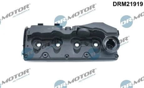 Кришка головки блоку циліндрів ДВЗ DR.MOTOR DRM21919