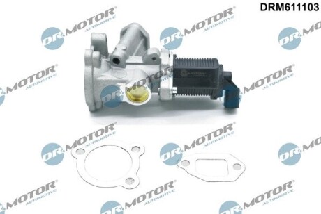 Клапан рециркуляції газів DR.MOTOR DRM611103