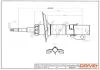 Амортизатор (передній) Citroen Jumper/Fiat Ducato/Peugeot Boxer 06- (1.1-1.5t) Drive+ DP1610.10.0009 (фото 1)