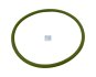 Ущільнювальне кільце DT 3.89478 (фото 1)