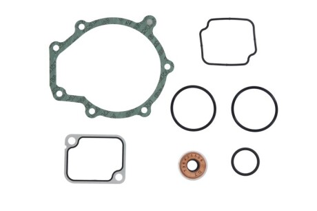 Комплект уплотнений помпы DT 490925