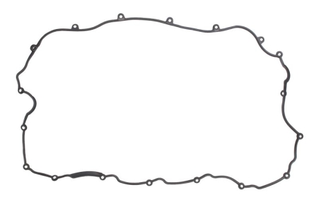Прокладка клапанної кришки DT 5.40065