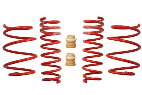 Комплект занижених пружин EIBACH E20200110122
