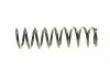 Пружина (задняя) BMW 5 (E39) 2.0-3.0d/2.0-4.4i (M47/M52/M57/M54/M51/M62 95-03 EIBACH R10115 (фото 3)