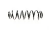 Пружина (задняя) VW Touran 1.4TSI/1.9-2.0TDI 03-15/Skoda Yeti 1.4-1.8TSI/2.0TDI 09-17 EIBACH R10261 (фото 3)
