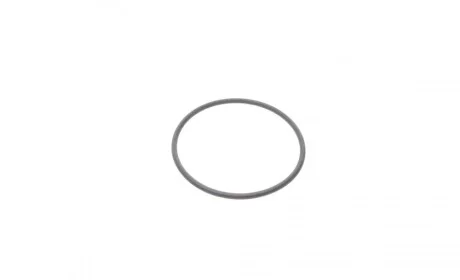 Кільце ущільнююче турбіни BMW 5 (F10)/X5 (E70) 06-15 (N63) (41x2mm) ELRING 003.520