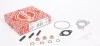 Комплект прокладок турбіни Fiat Doblo 1.3D/Opel Combo 1.3TDI 10- ELRING 007.810 (фото 1)