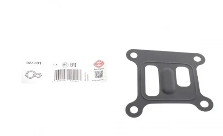 Прокладка помпы воды Ford Transit 2.0 DI 00-06 ELRING 027.831