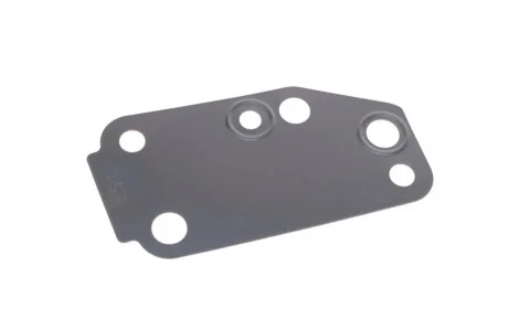 Прокладка помпи води Ford Transit 2.4 TDCI 00-06 ELRING 030.671