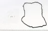 Прокладка крышки клапанов MB E-class (W211/212)/C-class (W204/S204) 6.2i 06- (R) ELRING 044.150 (фото 1)