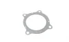 Прокладка труби вихлопної Audi Q5/Q7/Q8/VW Touareg 2.0 TFSI 08- ELRING 150.060 (фото 1)
